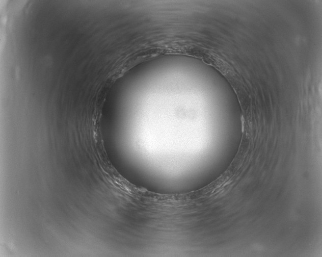 X0000076041010200609221114