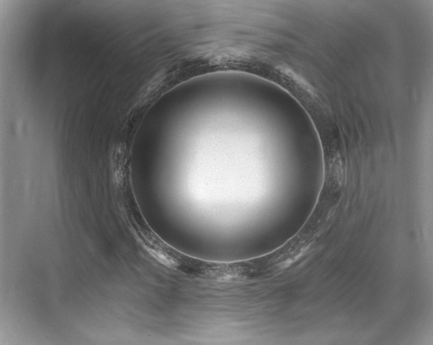 X0000076041012200609221114
