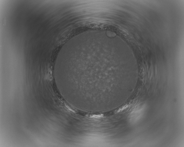 X0000076041013200609221114