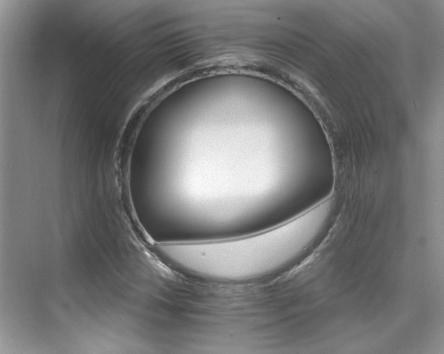 X0000076041018200609221114