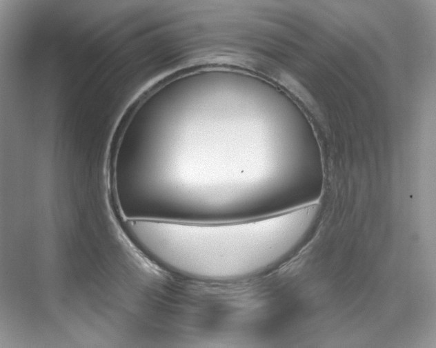 X0000076041028200609221114