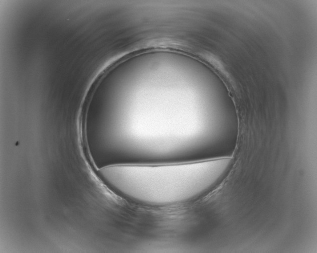 X0000076041032200609221114