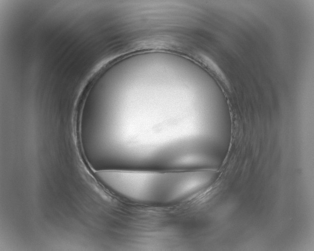 X0000076041035200609221114