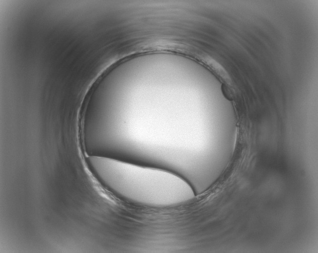 X0000076041039200609221114