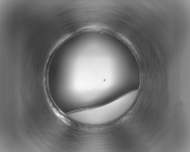 X0000076041042200609221114