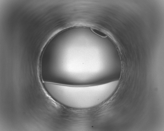 X0000076041048200609221115