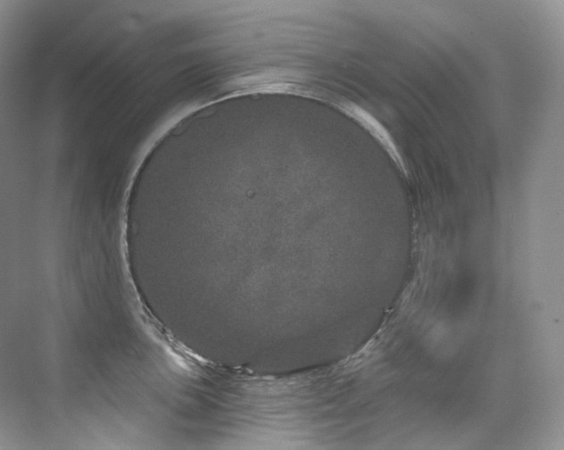 X0000076041051200609221115