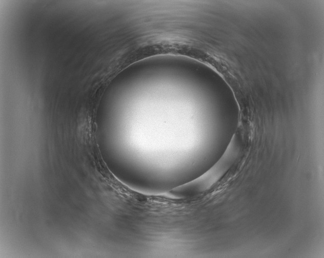 X0000076041061200609221114