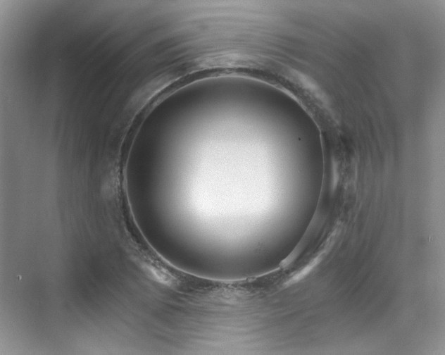 X0000076041073200609221114
