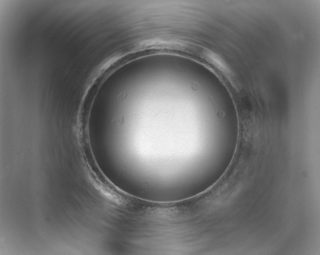X0000076041074200609221114