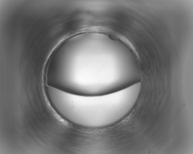 X0000076041091200609221113