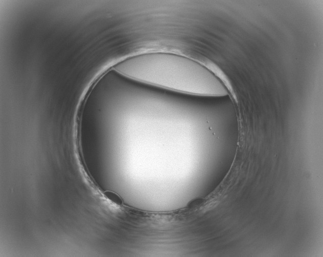X0000076041096200609221113