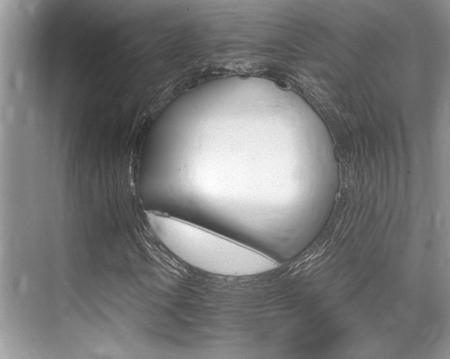 X0000076041106200609221112