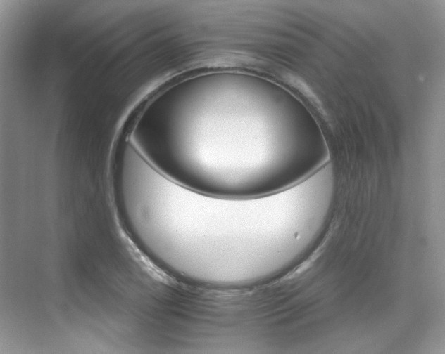 X0000076041122200609221113