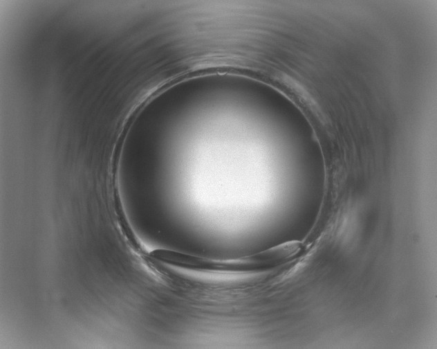 X0000076041129200609221113