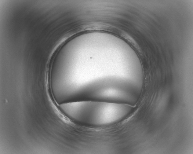 X0000076041130200609221113