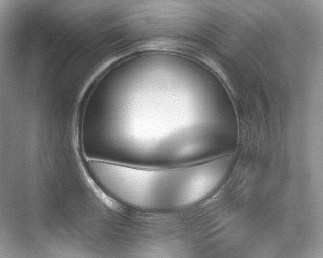 X0000076041131200609221113