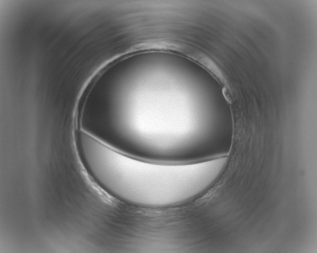 X0000076041132200609221113