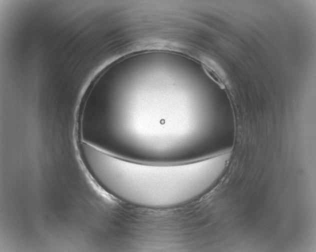 X0000076041136200609221113