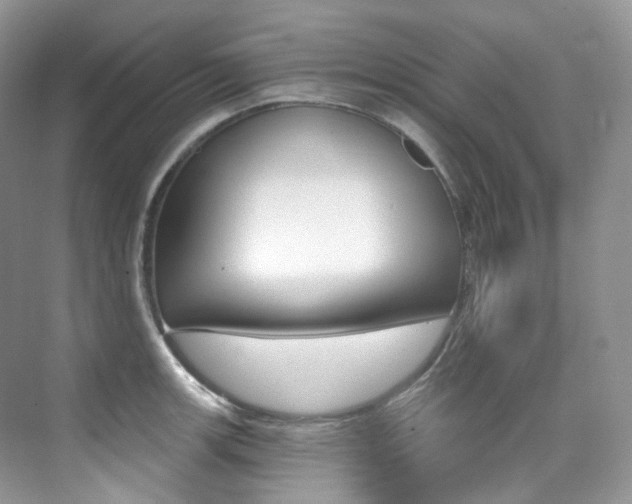 X0000076041139200609221113