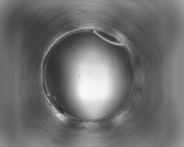 X0000076041140200609221113