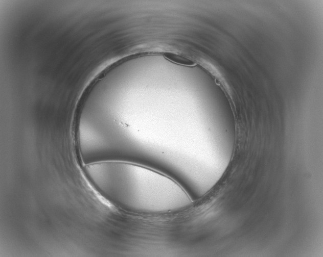X0000076041141200609221113