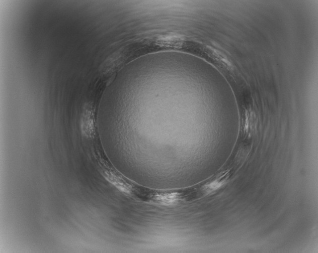 X0000076041154200609221112