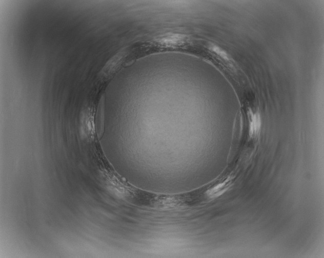 X0000076041155200609221112