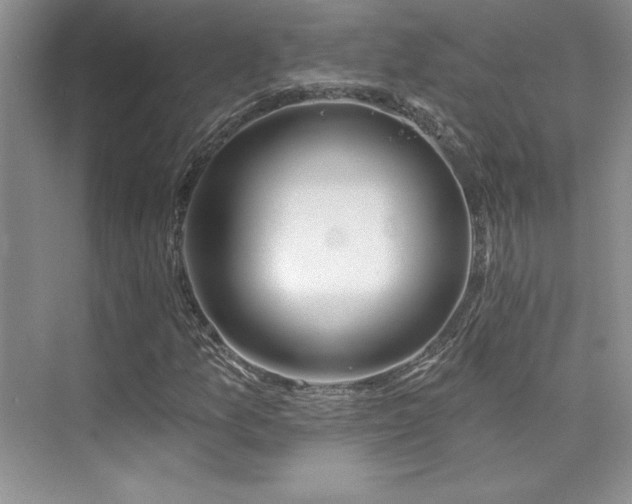 X0000076041157200609221112
