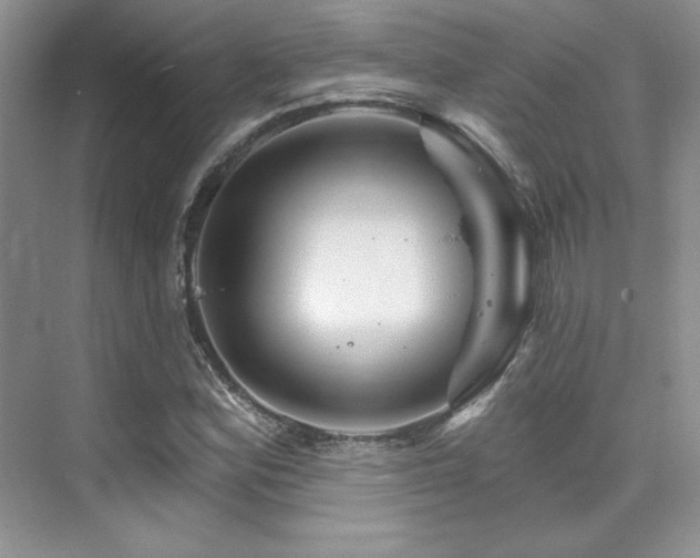 X0000076041164200609221112