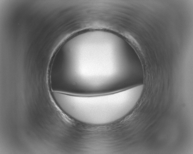 X0000076041183200609221112