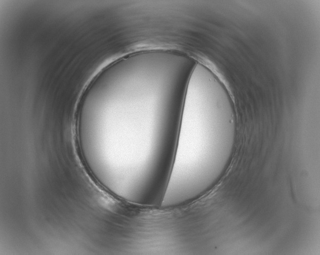 X0000076041187200609221112