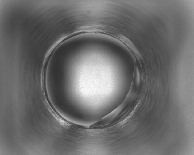 X0000076041196200609221111