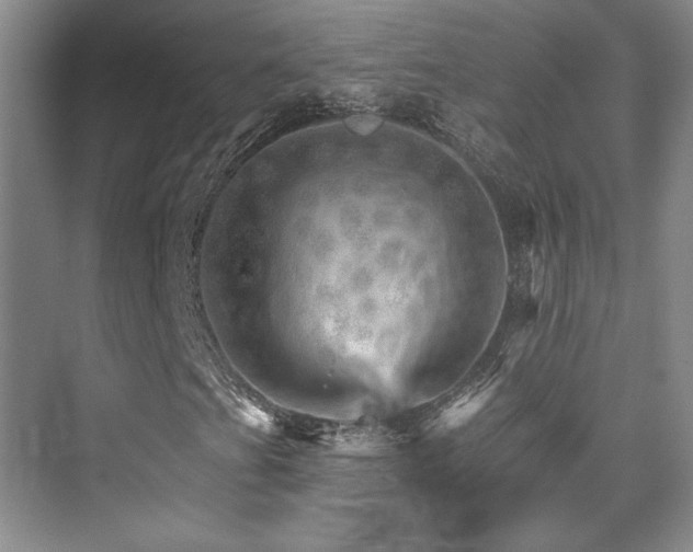 X0000076041201200609221111