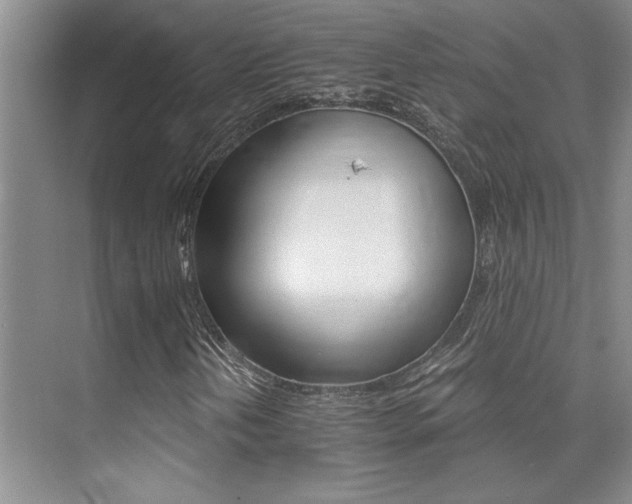 X0000076041202200609221111