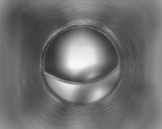 X0000076041226200609221111