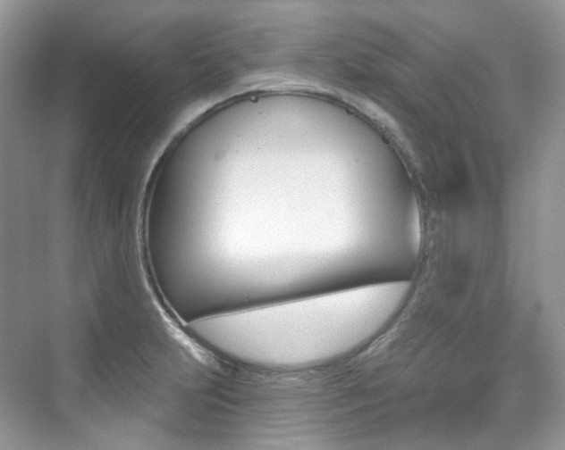 X0000076041231200609221111
