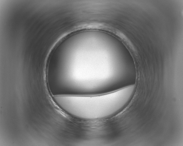 X0000076041232200609221111