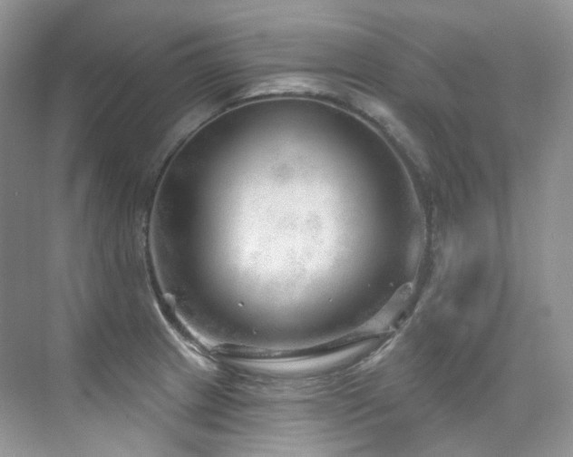 X0000076041233200609221111