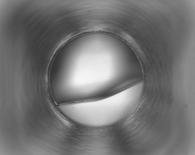 X0000076041234200609221111