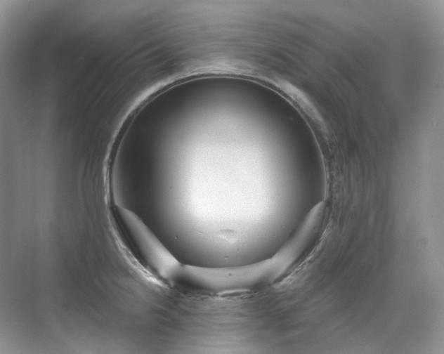 X0000076041238200609221111
