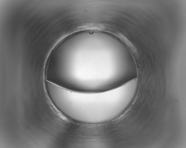 X0000076041240200609221111