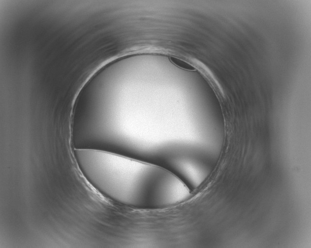 X0000076041244200609221111