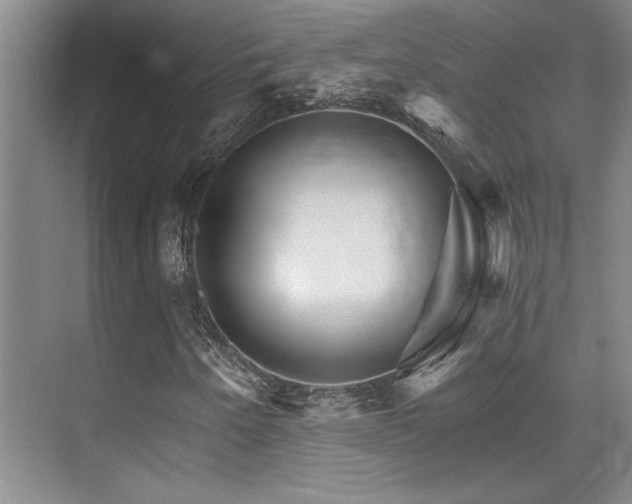 X0000076041250200609221111