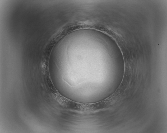 X0000076041254200609221110