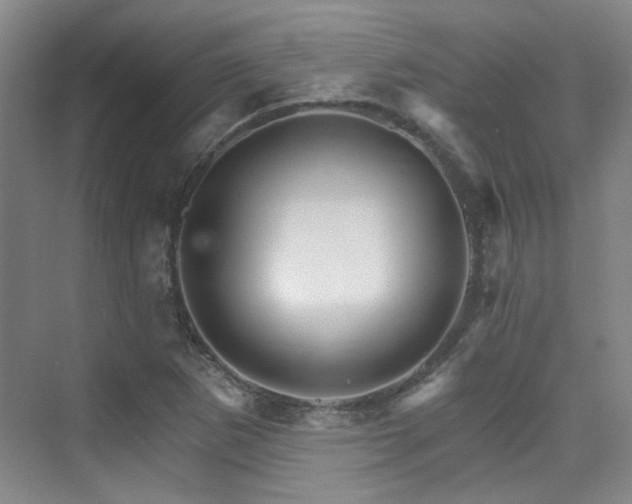 X0000076041265200609221110