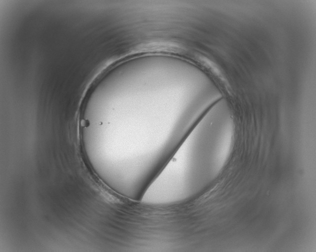 X0000076041275200609221110