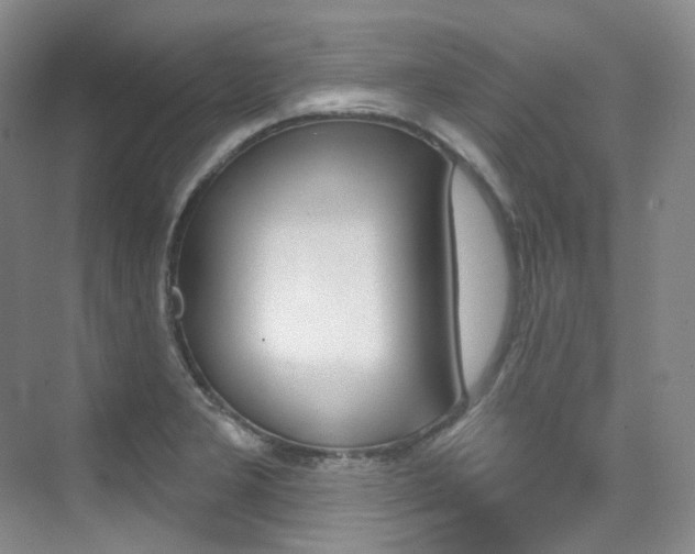 X0000076041277200609221110