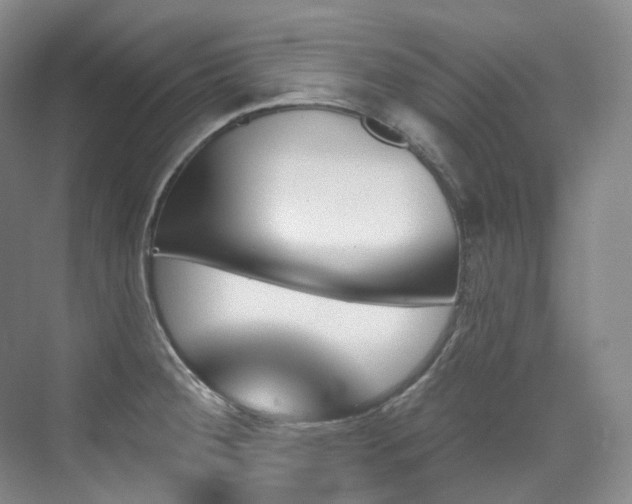 X0000076041284200609221110