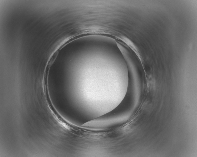 X0000076041293200609221110